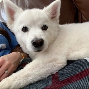 Meet your Posher, Meggie